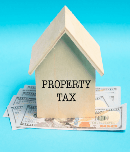 Property Taxes