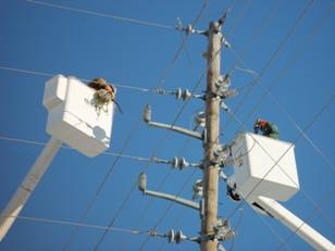 Men working on electric pole